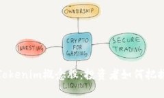 深入解析Tokenim概念股：投